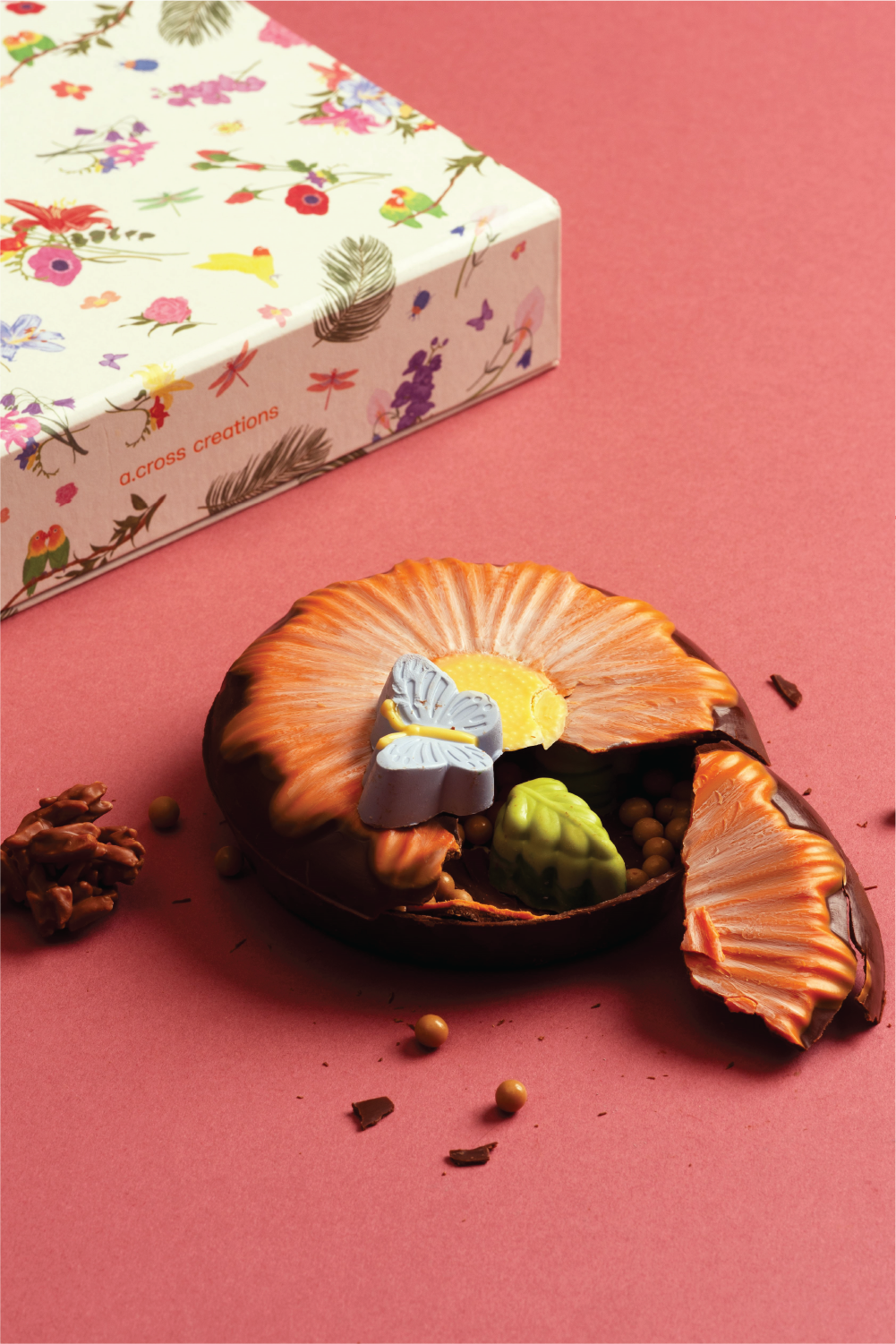 Daisy in Bloom Chocolate Piñata: Auburn Edition