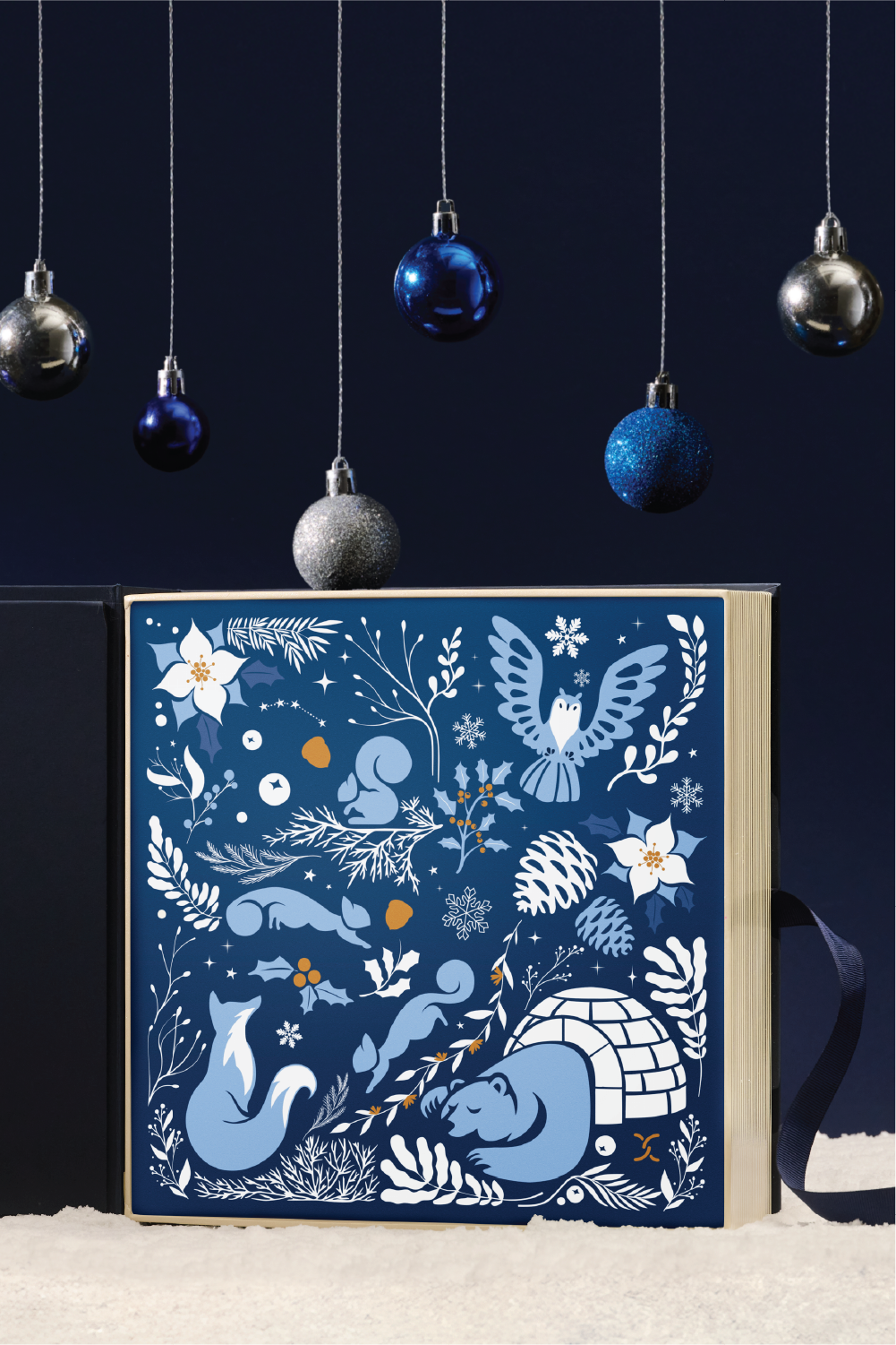 Holiday Hibernation Kit