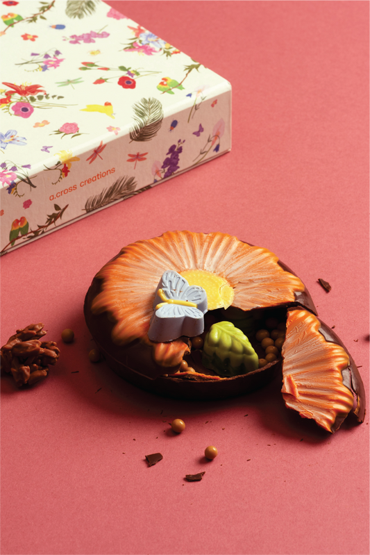 Daisy in Bloom Chocolate Piñata: Auburn Edition