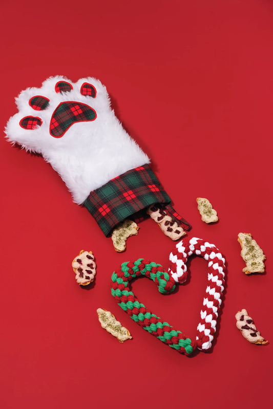 Pet stockings – Merry, Furry and Bright